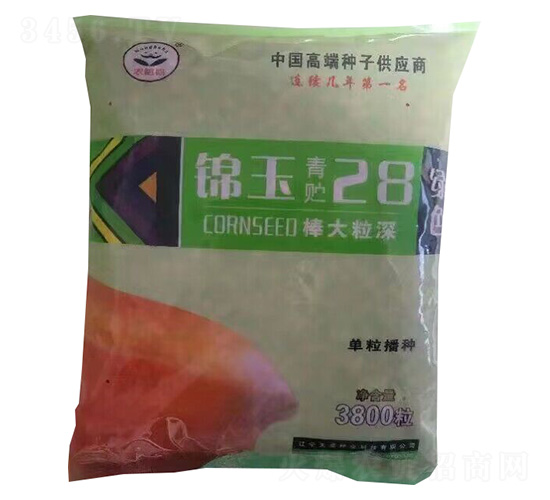 錦玉青貯28-玉米種子-天成種業(yè)