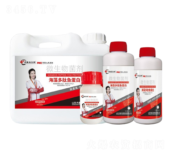 海藻多肽魚蛋白-木魚石
