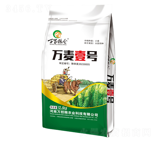 小麥種子-萬(wàn)麥壹號(hào)-萬(wàn)擔(dān)糧