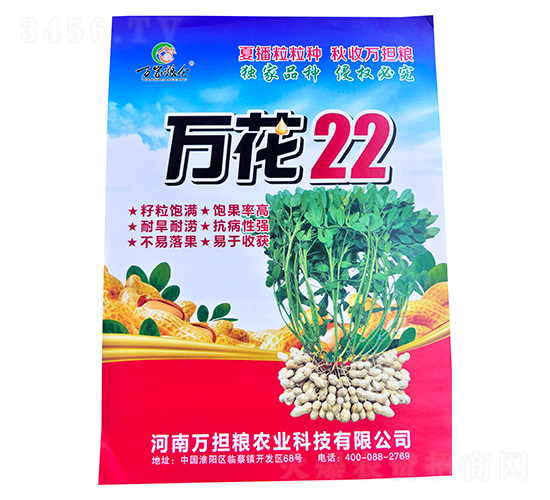 花生種子-萬(wàn)花22-萬(wàn)擔(dān)糧