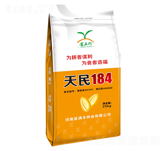 小麥種子25kg-天民184-華青農(nóng)業(yè)