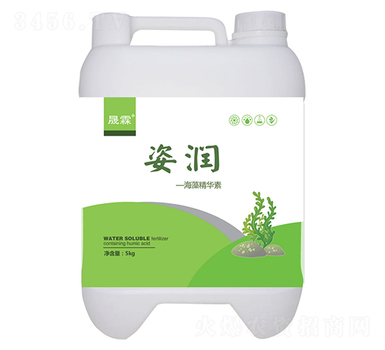 姿潤(rùn)海藻精華素-晟霖生物