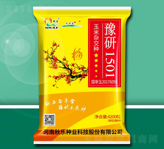 豫研1501-玉米種子-秋樂種業(yè)