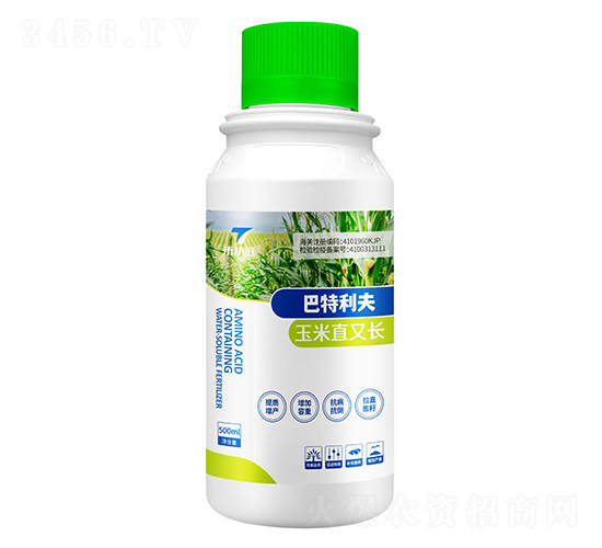 玉米直又長-巴特利夫-禾小匠-天之禾