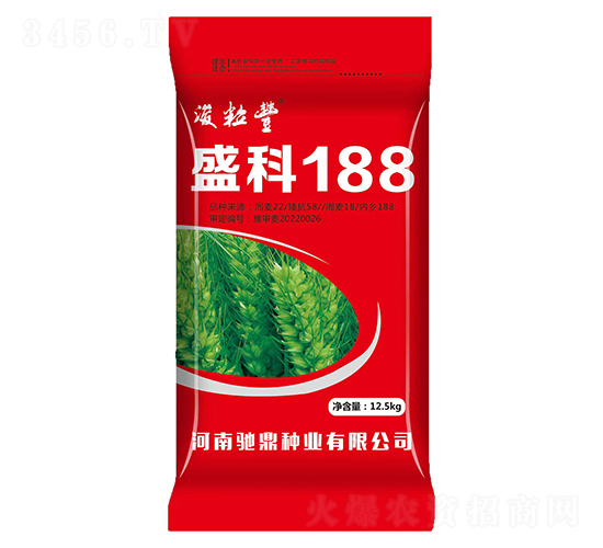 盛科188（12.5kg）-小麥種子-馳鼎種業(yè)