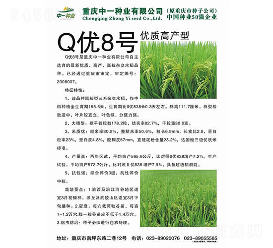 Q優(yōu)8號-水稻種子-神農(nóng)科技