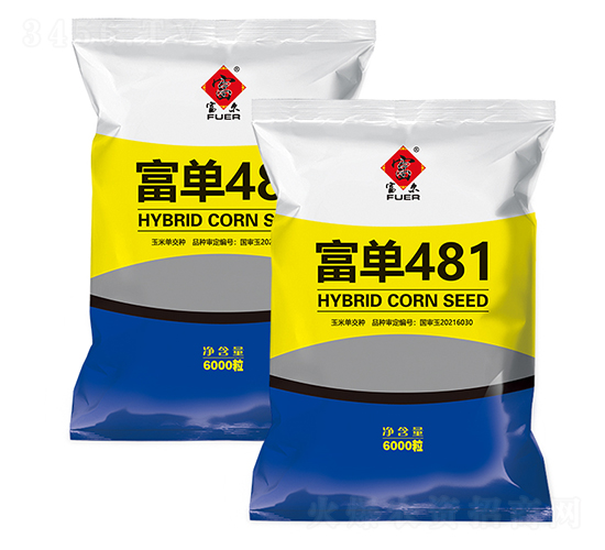 富單481-玉米種子-富爾農(nóng)藝