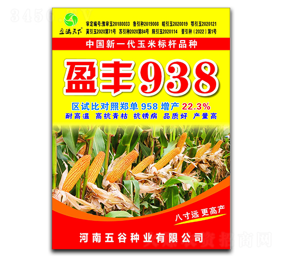 盈豐938玉米種子-盈滿天下-五谷種業(yè)