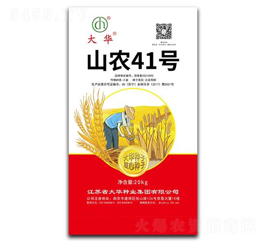 山農(nóng)41號-小麥種子-大華種業(yè)