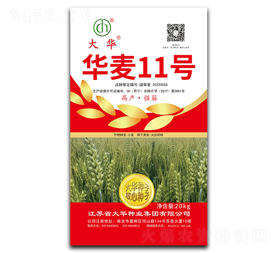 華麥11號-小麥種子-大華種業(yè)