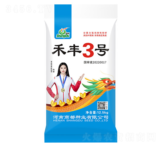 禾豐3號(hào)-小麥種子-商都種業(yè)