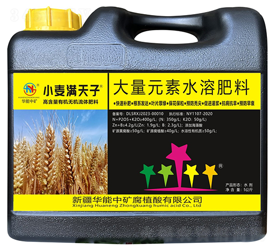 小麥滿(mǎn)天子-華能中礦