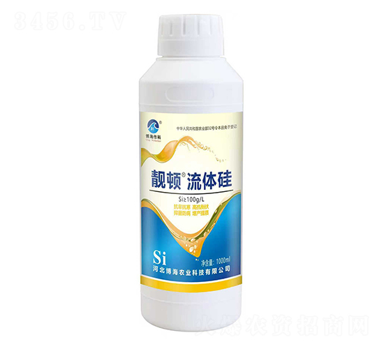 靚頓流體硅-博海作科