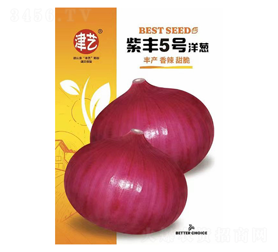 洋蔥種子-紫豐5號洋蔥-邯豐農(nóng)業(yè)