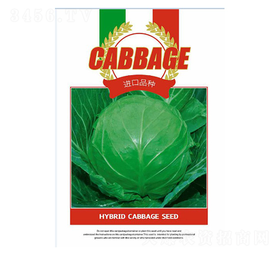 甘藍(lán)種子-進(jìn)口品種-邯豐農(nóng)業(yè)