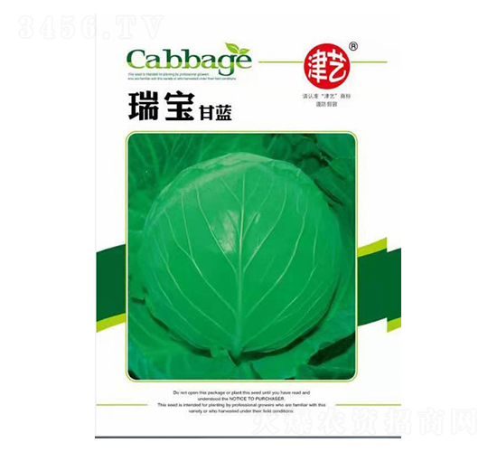 甘藍(lán)種子-瑞寶甘藍(lán)-邯豐農(nóng)業(yè)