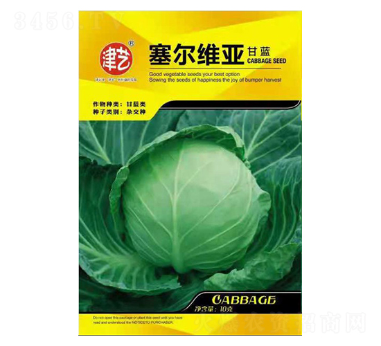 甘藍(lán)種子-賽爾維亞-邯豐農(nóng)業(yè)