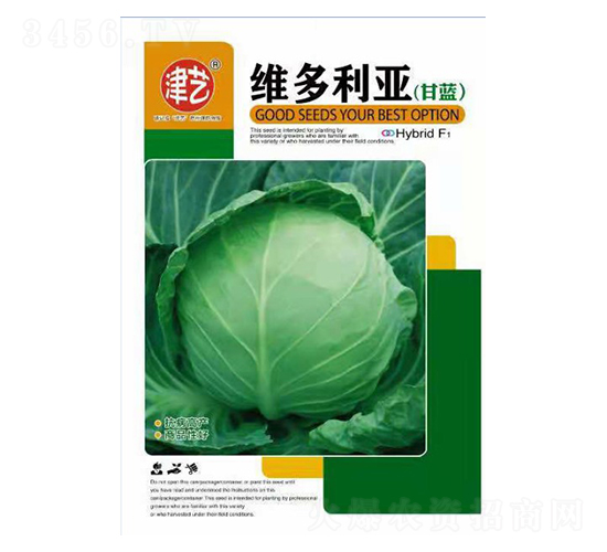甘藍(lán)種子-維多利亞-邯豐農(nóng)業(yè)