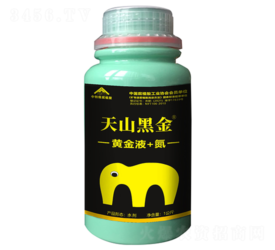 黃金液+氮-天山黑金-中特煤