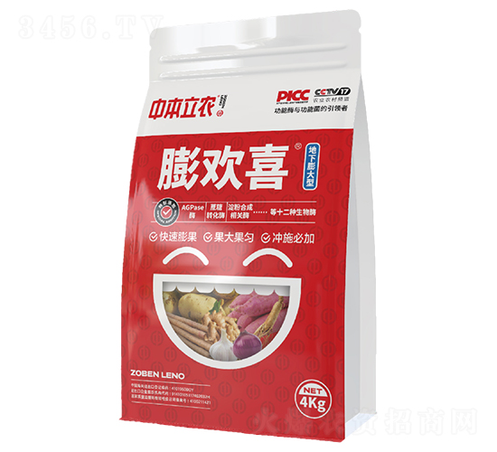 膨歡喜（地下膨大型）-中本立農