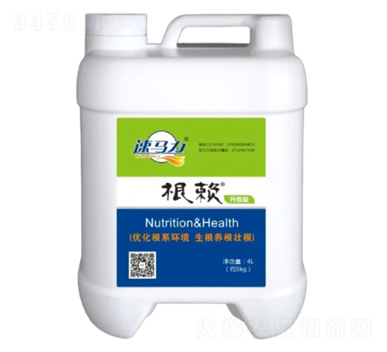 4L根賴-中澳西農