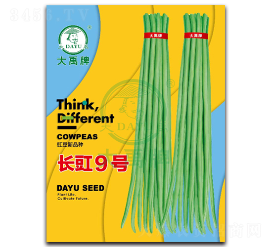長(zhǎng)豇9號(hào)-豇豆種子-大禹種業(yè)