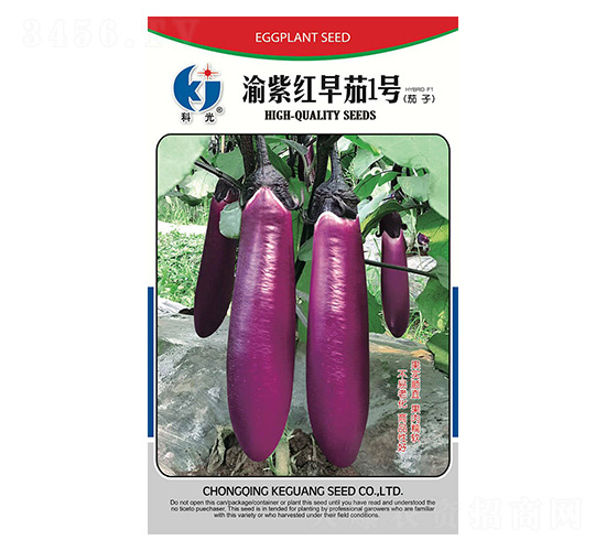 渝紫紅早茄1號-科光種苗