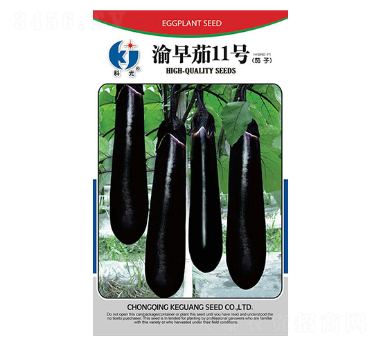 渝茄12號(hào)-科光種苗