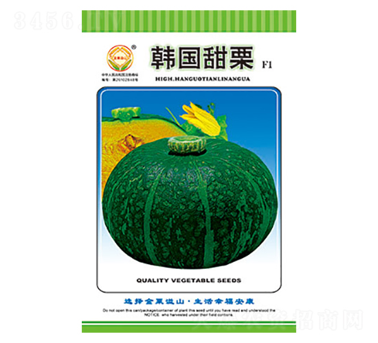 南瓜種子-韓國甜栗-太樂種業(yè)