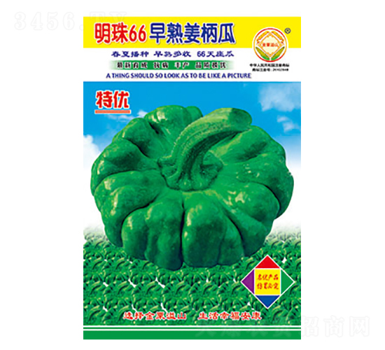 姜柄瓜種子-明珠66-太樂種業(yè)