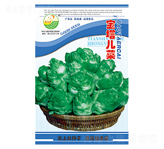 兒菜種子-寶塔兒菜-太樂種業(yè)