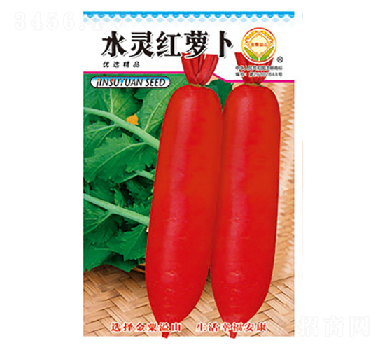 蘿卜種子-水靈紅蘿卜-太樂(lè)種業(yè)