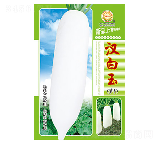 蘿卜種子-漢白玉-太樂(lè)種業(yè)