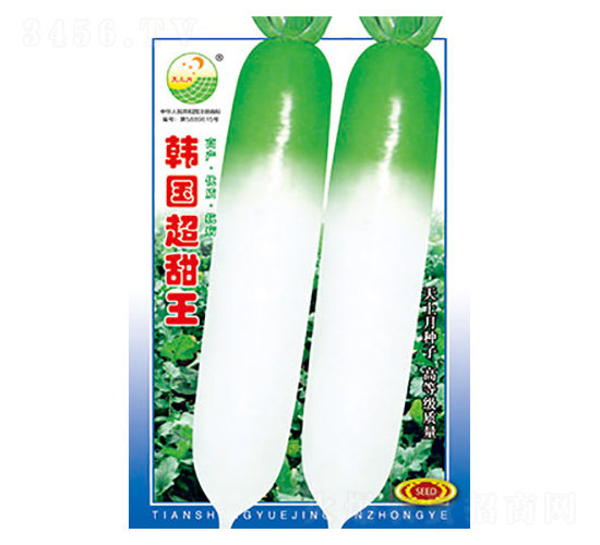 蘿卜種子-韓國超甜王-太樂種業(yè)