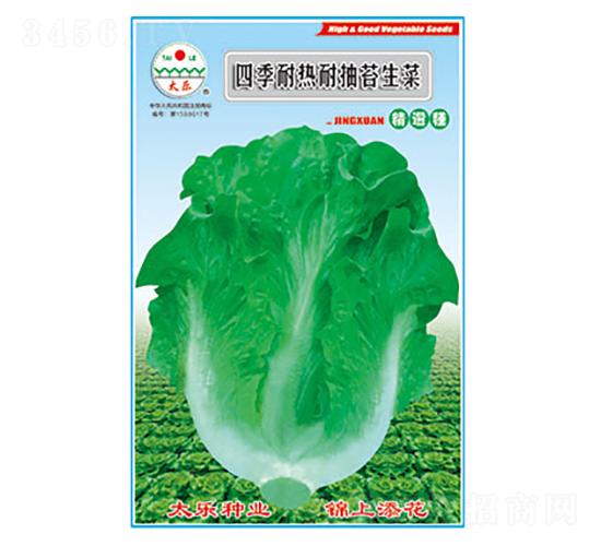 生菜種子-四季耐熱耐抽苔生菜-太樂種業(yè)