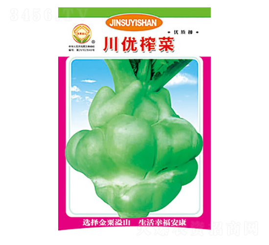 榨菜種子-川優(yōu)榨菜-太樂種業(yè)