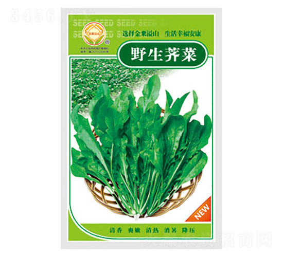 薺菜種子-野生薺菜-太樂(lè)種業(yè)