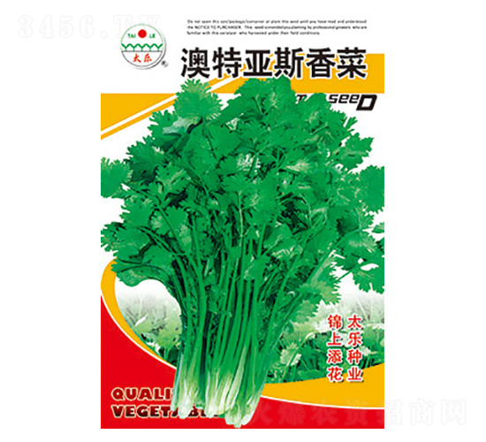 菠菜種子-澳特亞斯菠菜-太樂(lè)種業(yè)
