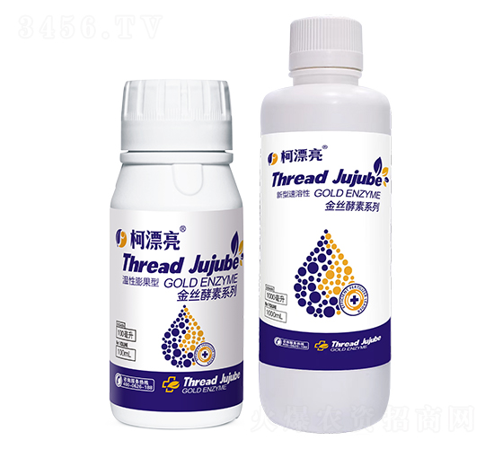 溫性膨果型-柯漂亮-柯依之綠