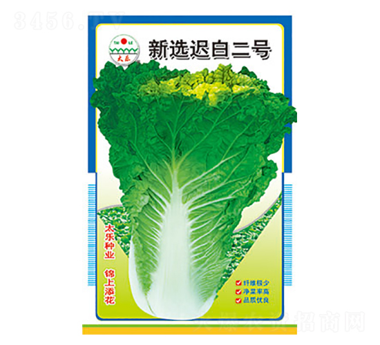 白菜種子-新選遲白二號-太樂種業(yè)