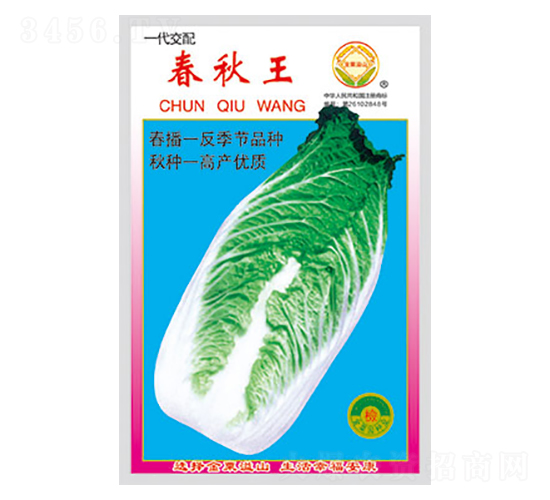 白菜種子-春秋王-太樂種業(yè)