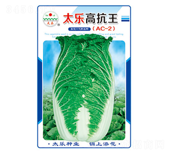 白菜種子-太樂高抗王（AC2)-太樂種業(yè)