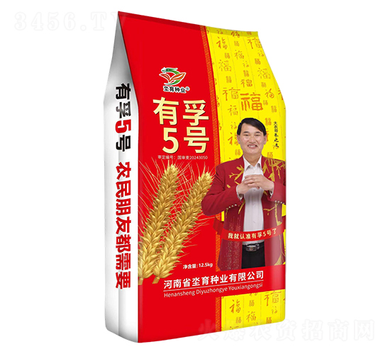 小麥種子-有孚5號-坔育種業(yè)