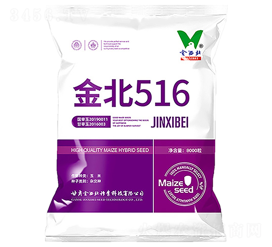 金北516-玉米種子-金西北種業(yè)