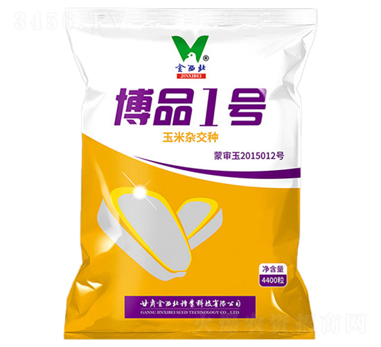 博品1號(hào)-玉米種子-金西北種業(yè)