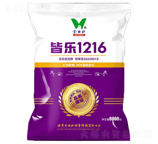 皆樂(lè)1216-玉米種子-金西北種業(yè)