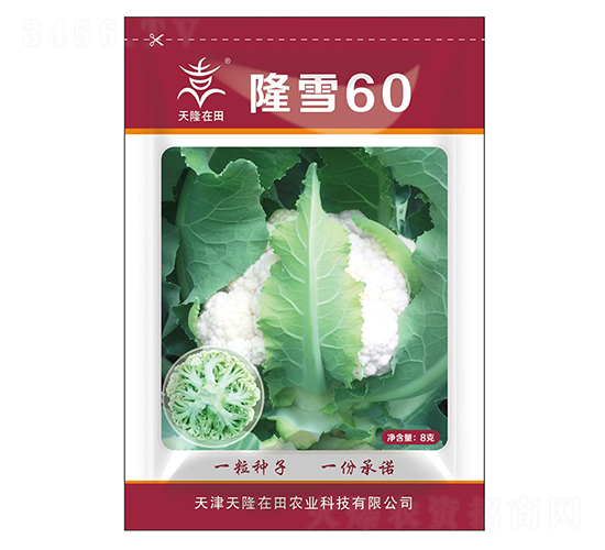 隆雪60-天隆在田-天隆農(nóng)業(yè)