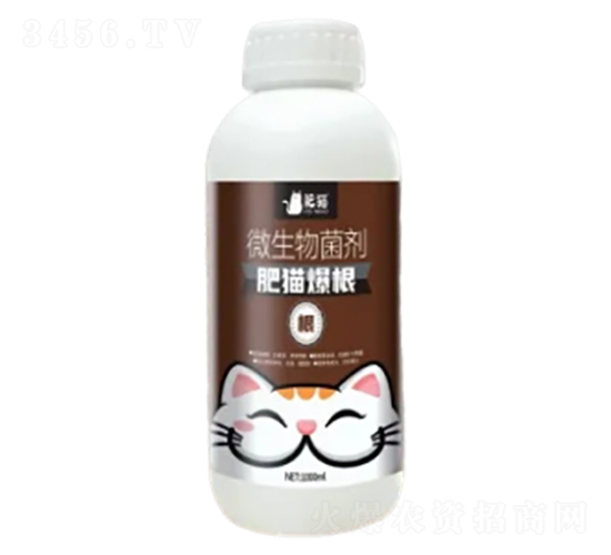 微生物菌劑-肥貓爆根-肥貓農(nóng)業(yè)