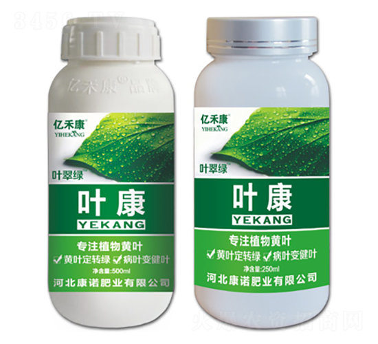 專注植物黃葉-葉康-康諾肥業(yè)