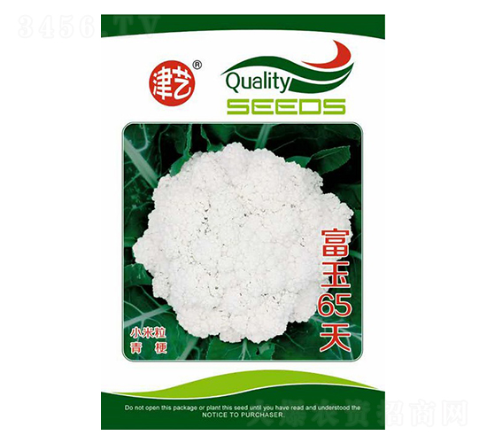 花菜種子-富玉65天-邯豐農(nóng)業(yè)